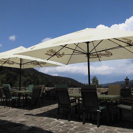Hotel Studenec Rožmberk nad Vltavou Eksteriør billede