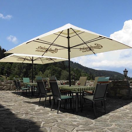 Hotel Studenec Rožmberk nad Vltavou Eksteriør billede