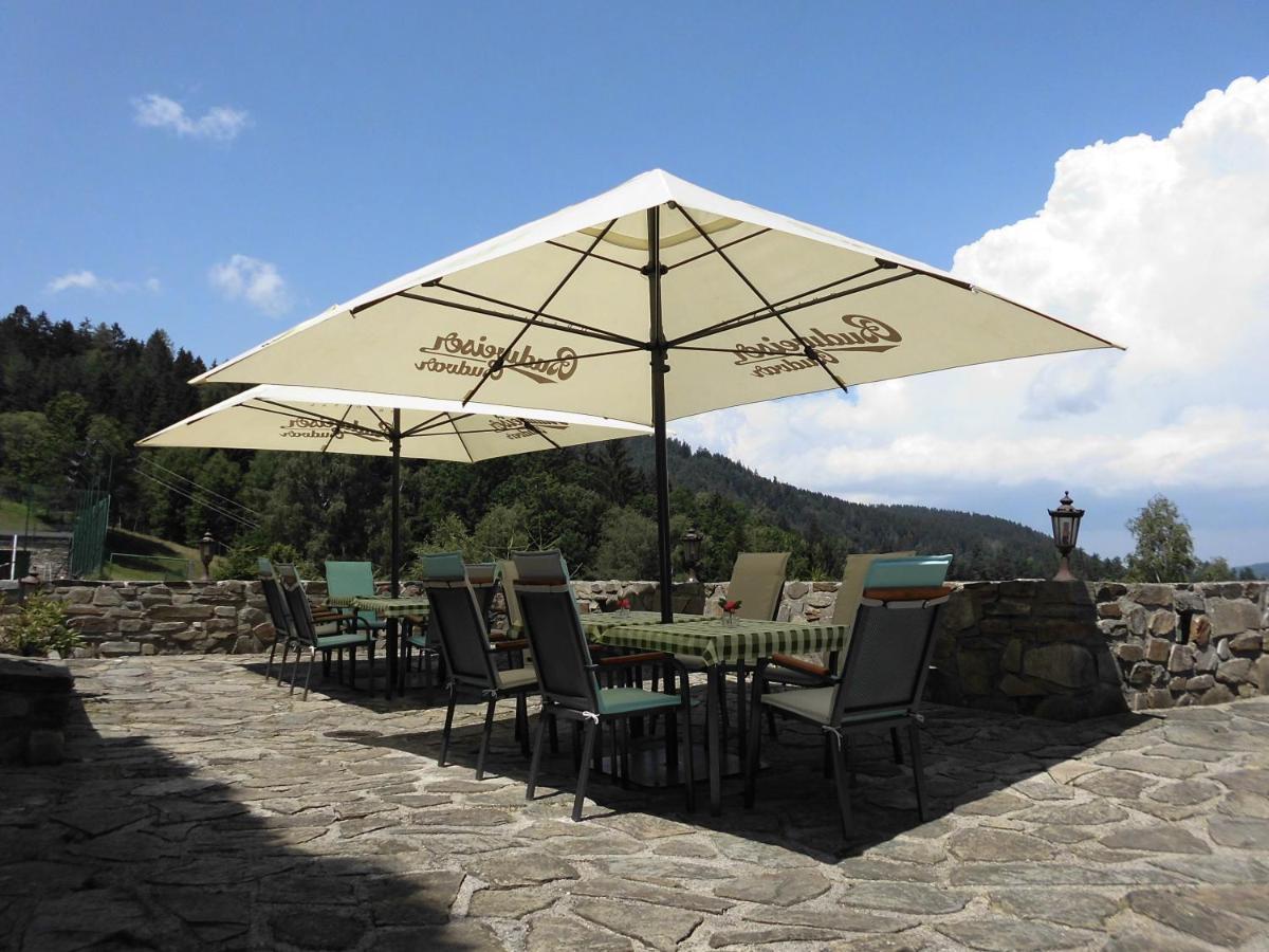 Hotel Studenec Rožmberk nad Vltavou Eksteriør billede